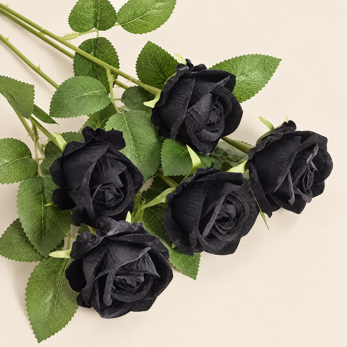 Velvet Roses Magdaléna – Black studio view