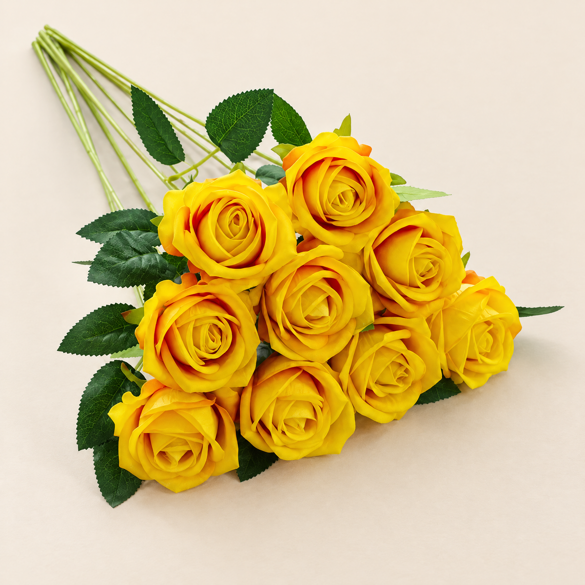 Velvet Roses Magdaléna – Yellow studio view