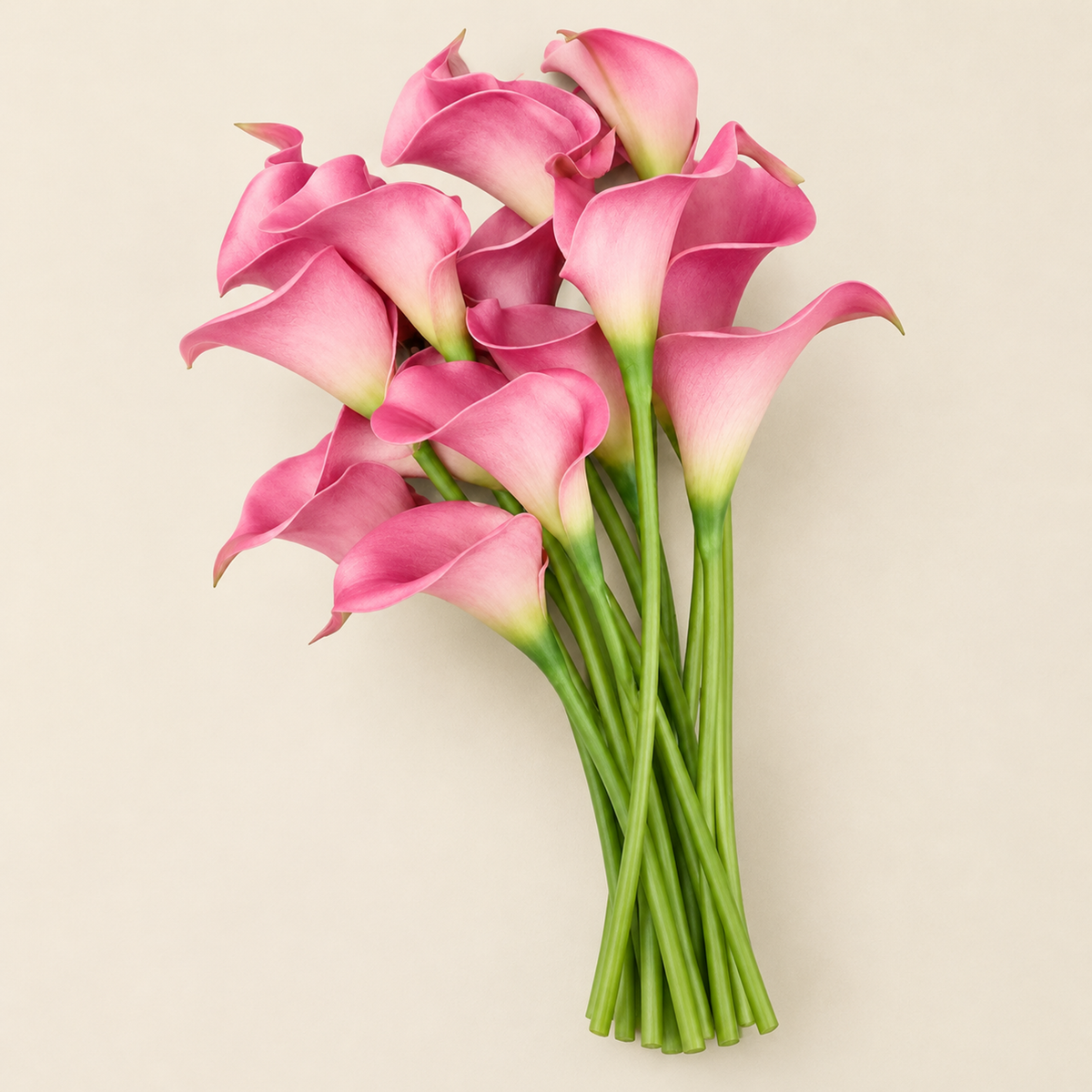 Calla Lily Stems Ľubomíra – Peach Pink studio view