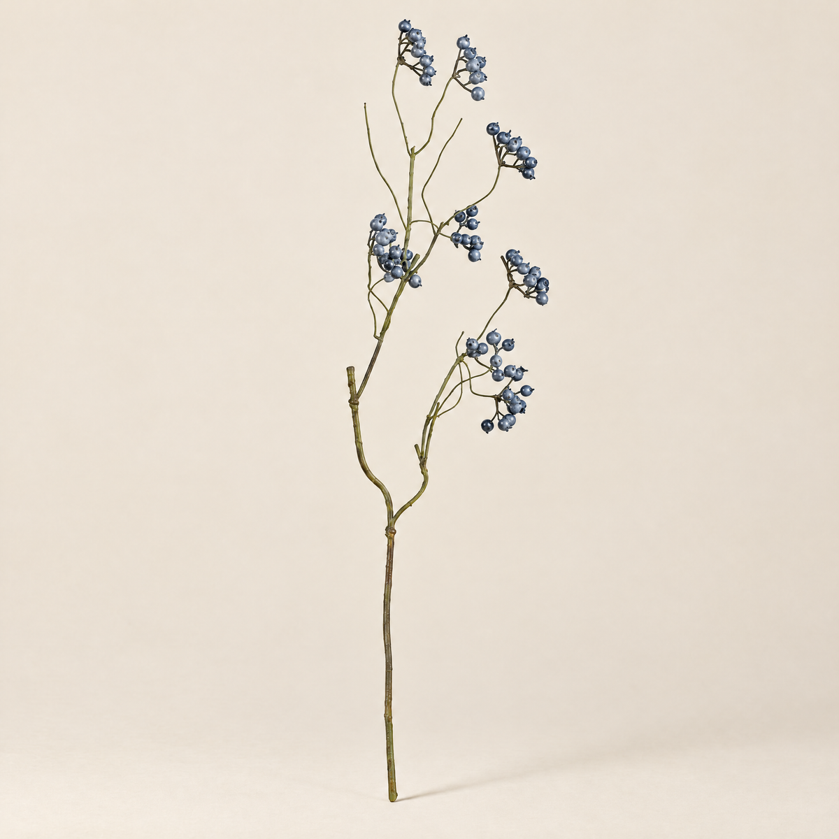 Berry Branch Kornélia – Blue studio view