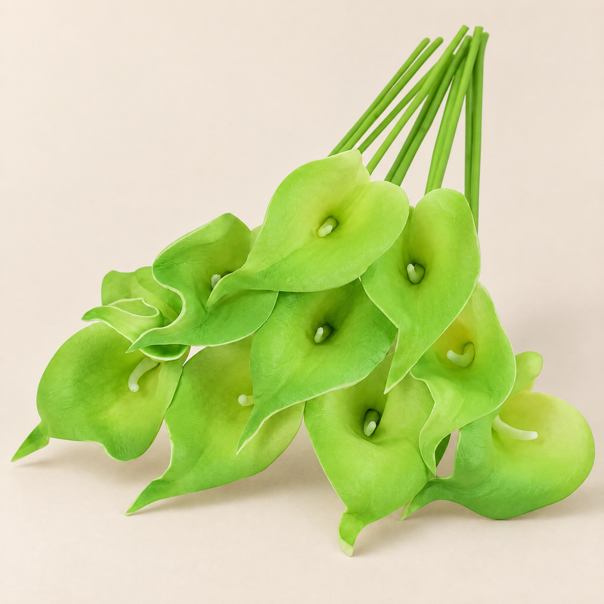 Calla Lily Stems Margita – Lime Green studio view