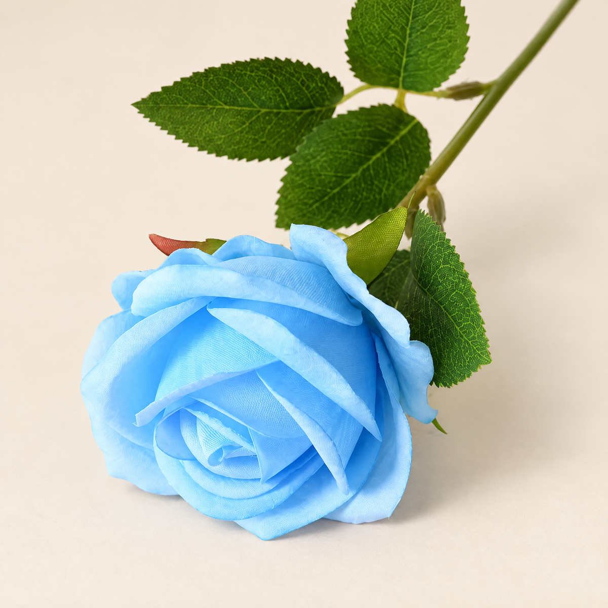Velvet Roses Magdaléna – Sky Blue studio view