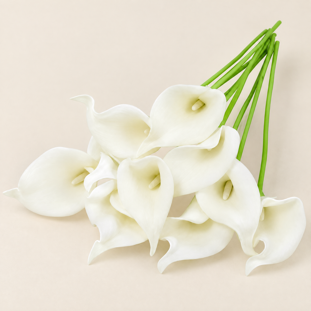 Calla Lily Stems Margita – White studio view