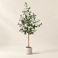 Olive Tree Gabriela, faux olive tree, studio view