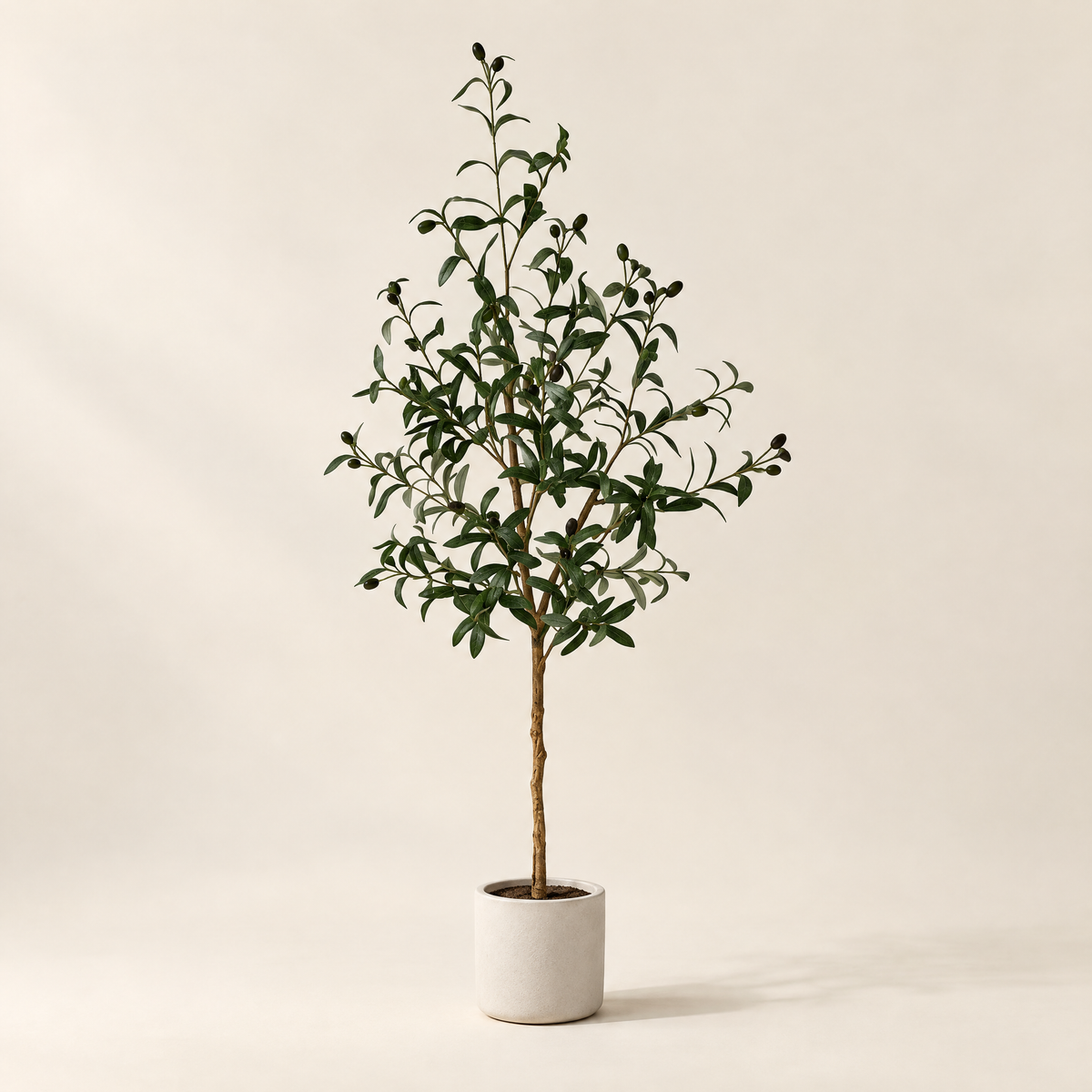 Olive Tree Gabriela, faux olive tree, studio view