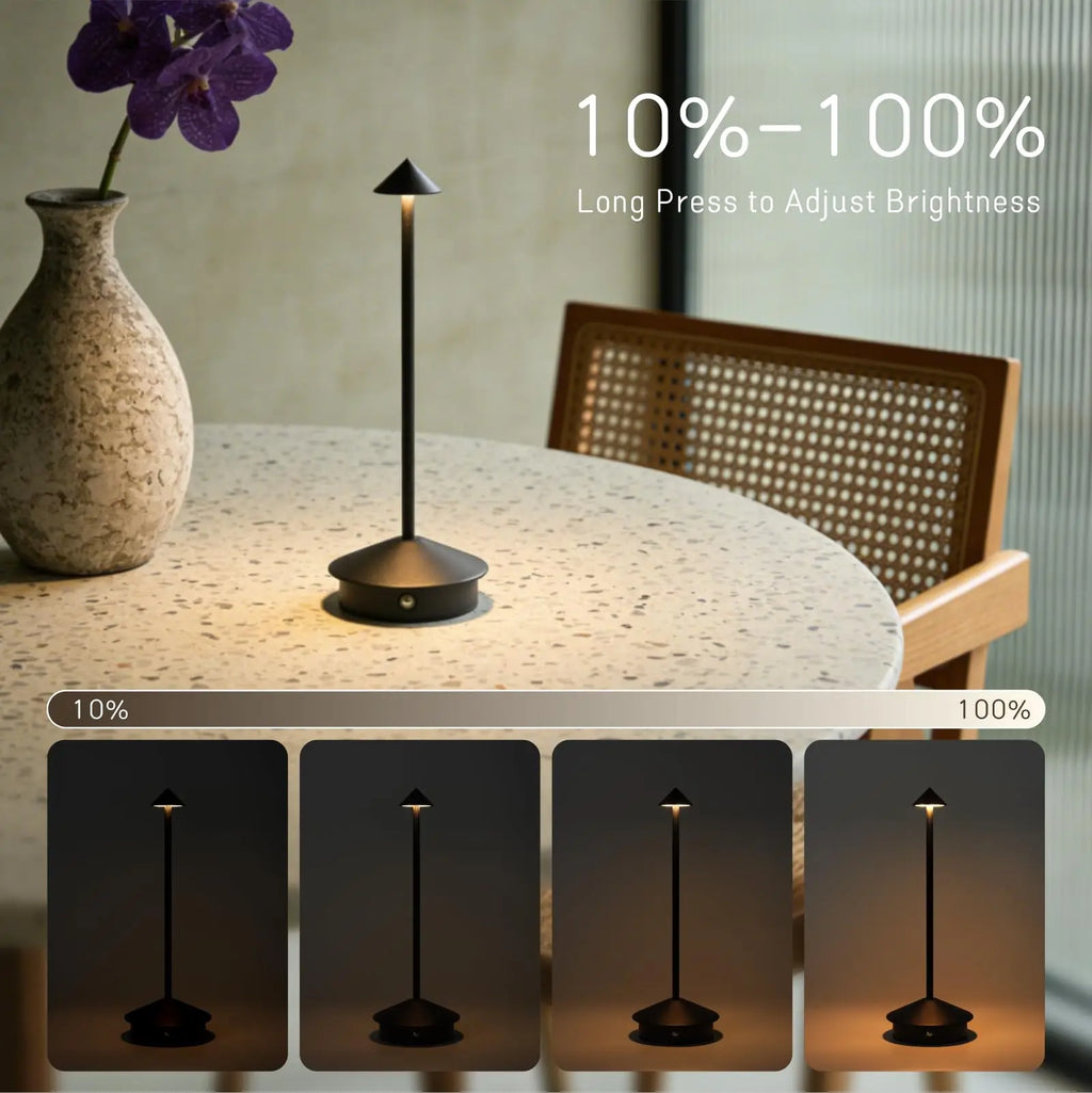 Cordless Lamp Bianka dimmable light