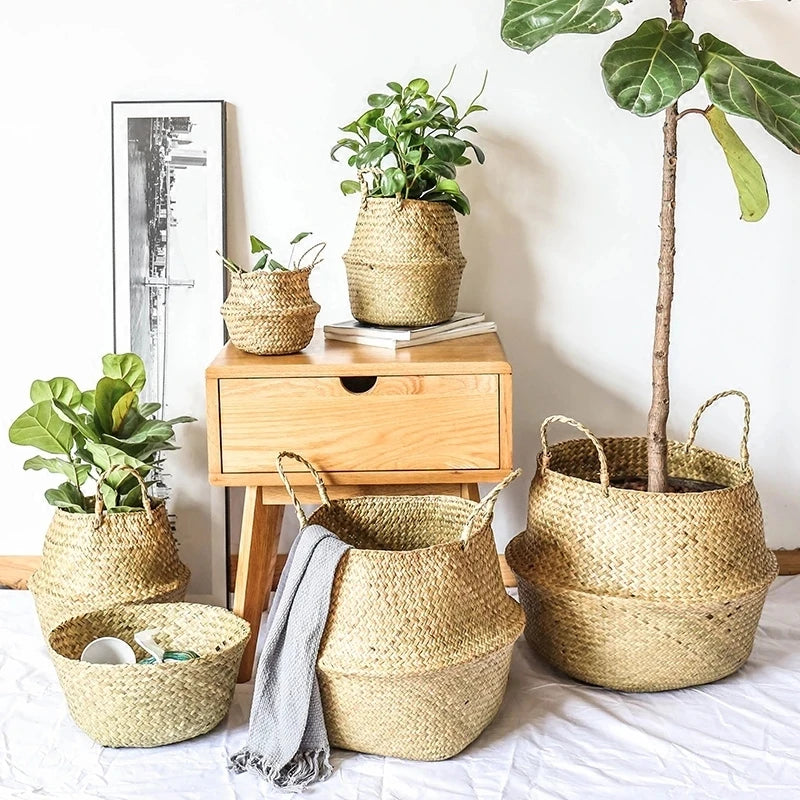 Seagrass baskets Eugénia in several sizes holding plants in a bright room