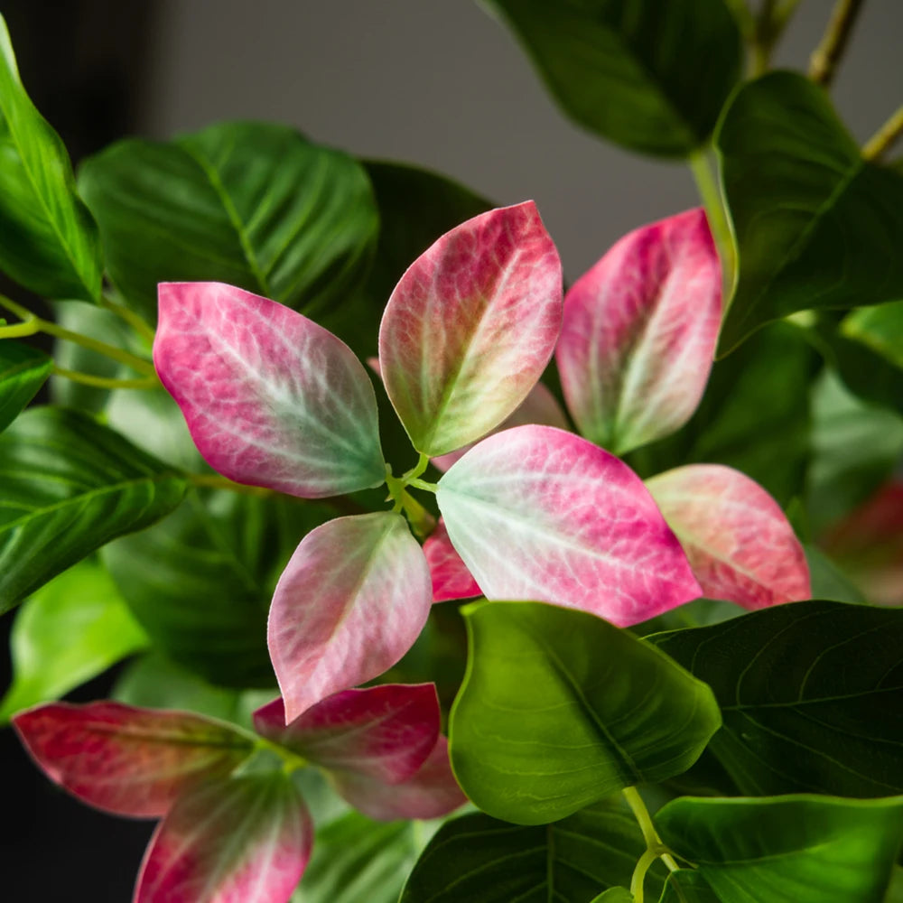 Blossom Tree Zlatica – close-up of the blush pink blossoms
