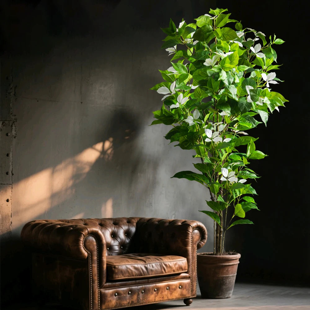 Blossom Tree Zlatica – White tree beside a leather armchair