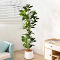 Faux flowering stem Denisa with white blossoms in a white planter in a living room