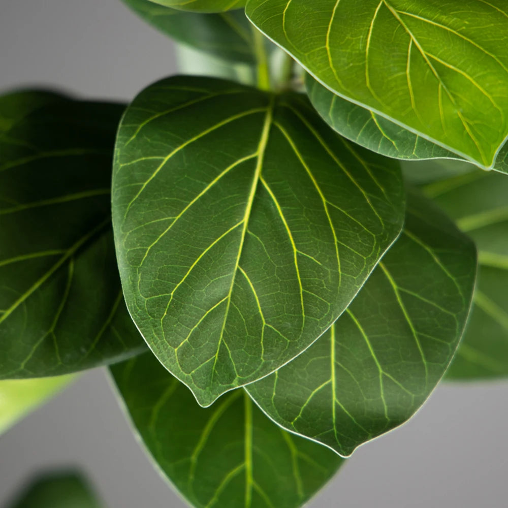 Close-up of the glossy leaves of faux ficus stem Brigita