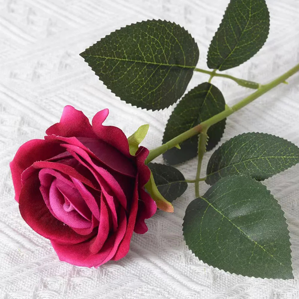 Garden Roses Malvína – Full 7 cm blooms, 50 cm stems, set of 10 or 20
