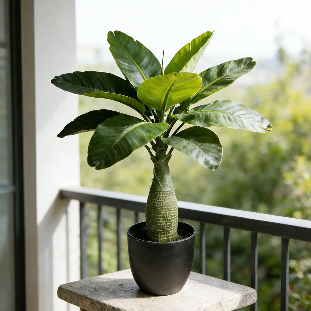 Compact artificial plant Apolónia in a black pot on a balcony table