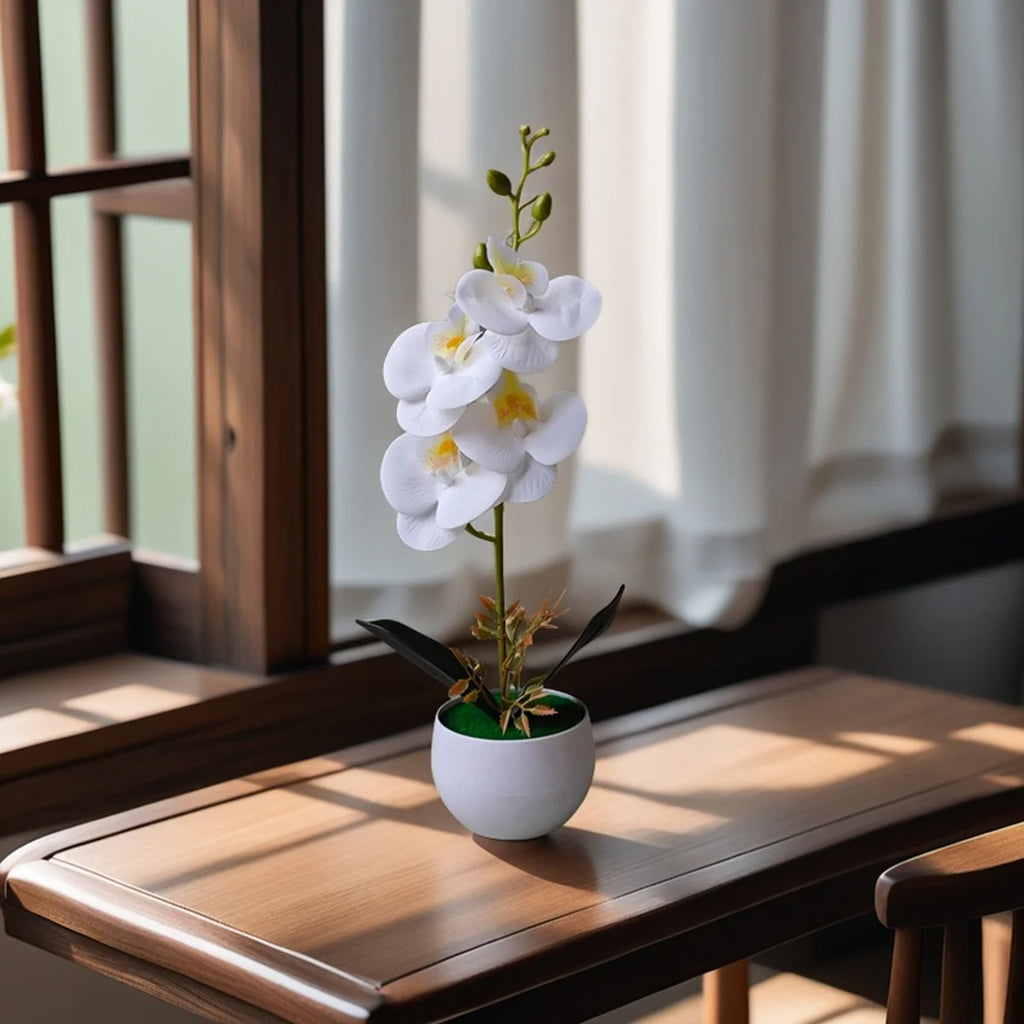 Artificial white orchid in a white pot on a wooden table by a window