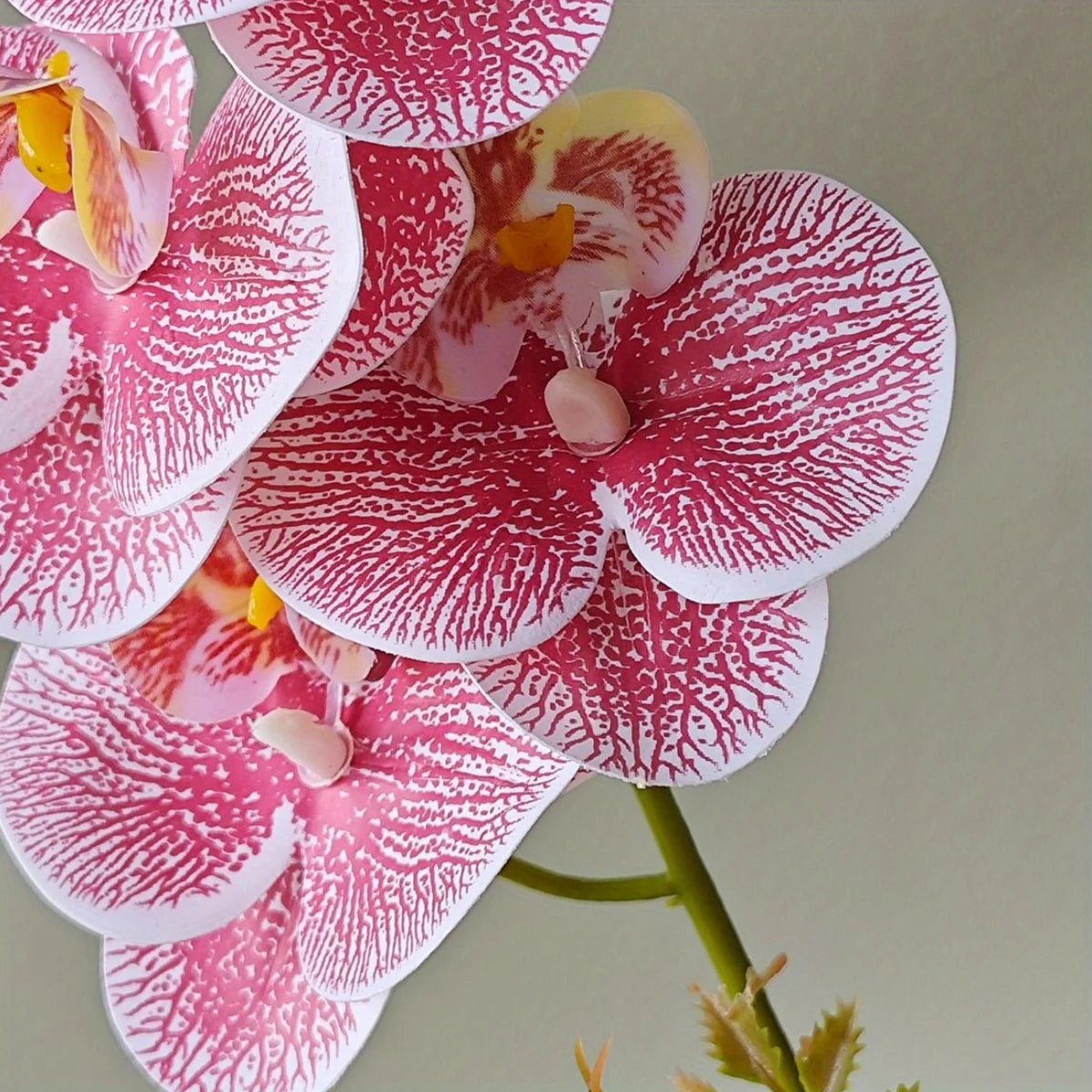 Close-up of artificial pink veined orchid blossoms