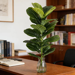 Faux fiddle-leaf fig Drahomíra in a glass vase on a desk