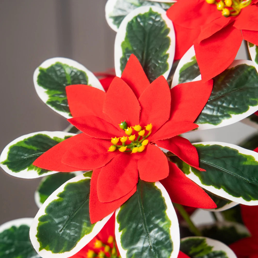 Close-up of an artificial red poinsettia bloom with white-edged leaves