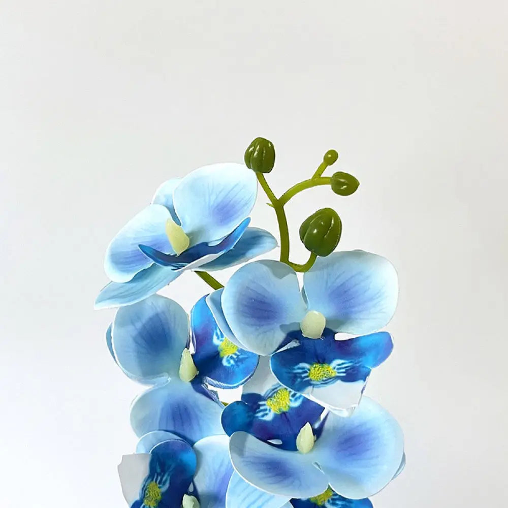 Close-up of artificial blue orchid blossoms