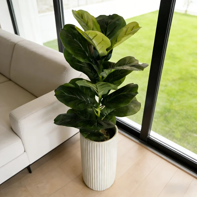 Faux fiddle-leaf fig Drahomíra in a ribbed white planter by a large window
