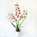Artificial white orchid with burgundy spots in a white ribbed pot