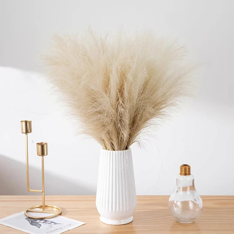 Pampas grass stems in a white ribbed vase on a shelf