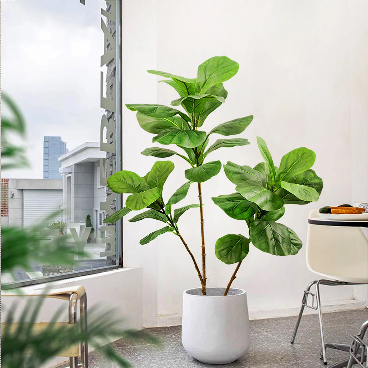 Fiddle-leaf fig stem Darina in a white planter beside a desk chair