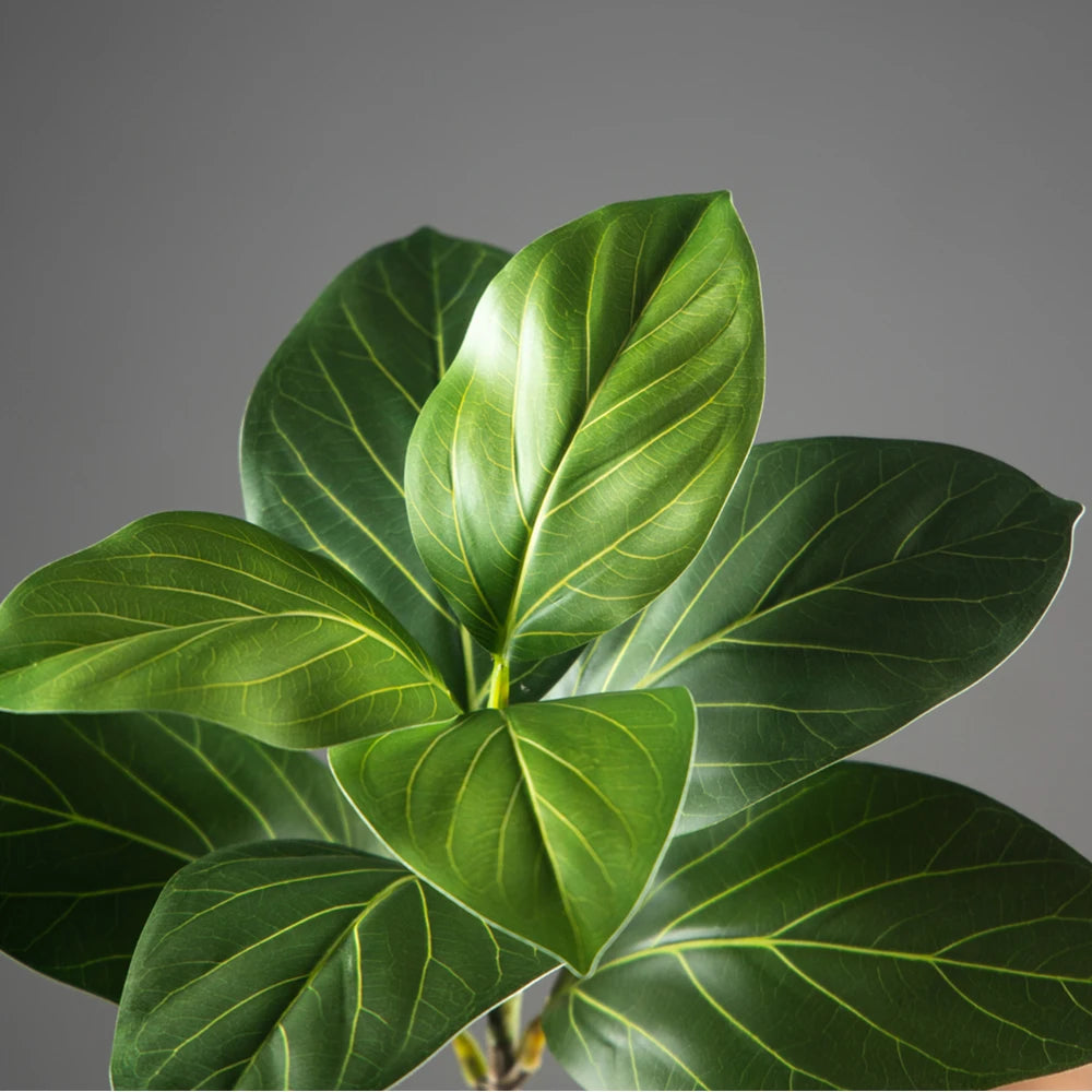 Close-up of the leaf shape and veining