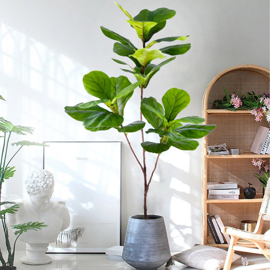 Fiddle-leaf fig stem Darina in a grey planter in a bright living room