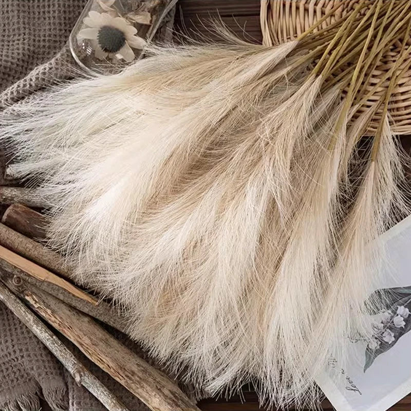 Close-up of fluffy cream pampas plumes