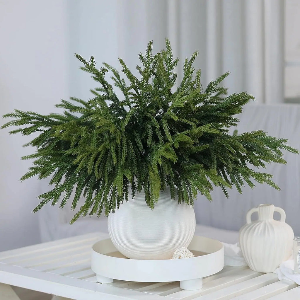 Norfolk pine branches Leontína in a white vase on a white side table