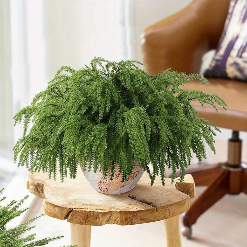 Norfolk pine branches Leontína in a pot on a wooden stool