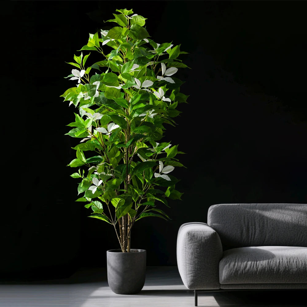 Blossom Tree Zlatica – White tree next to a grey sofa
