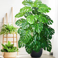 Artificial monstera Blanka in dark green with a black pot
