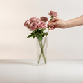Hand placing a fresh pink rose into the clear Nora ribbed glass vase with dusty pink roses, studio photo