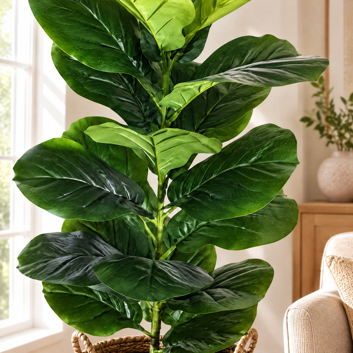 Fig Tree Tereza close-up of the realistic fiddle-leaf fig leaves